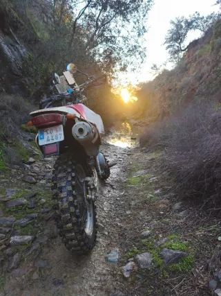 Yamaha TT 600 E (97)