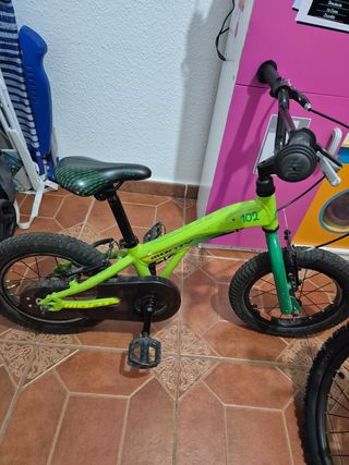 Monty 102 verde