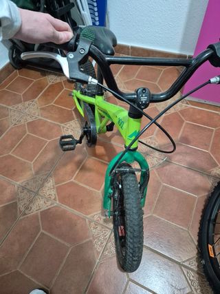Monty 102 verde