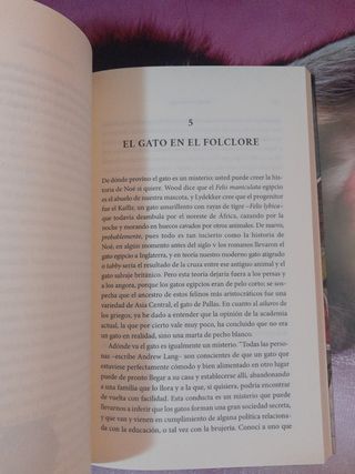 El tigre en la casa: Una historia cultural del gato (Spanish Edition)