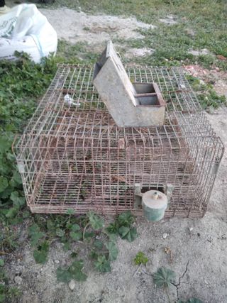 Jaulas de conejos