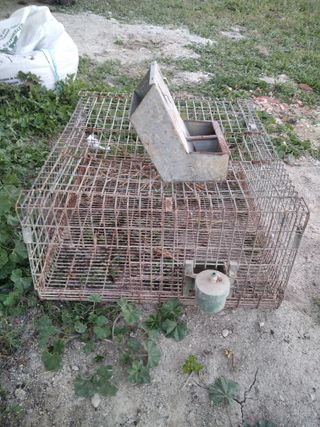 Jaulas de conejos