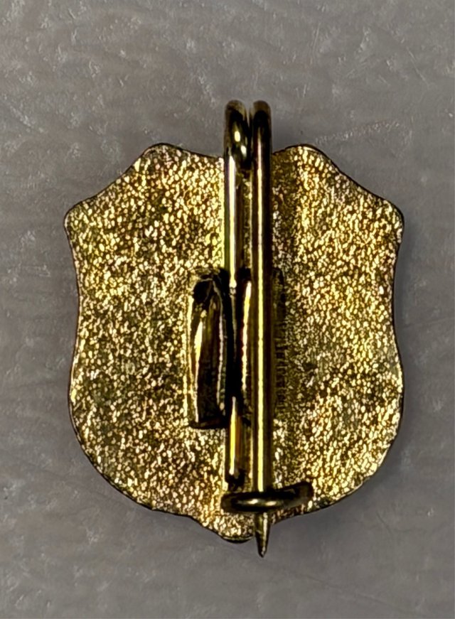 Pack 2 Insignias Pin Escudo C.D. Tenerife – Colecc