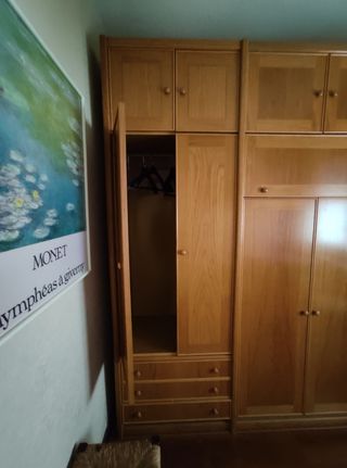 Mueble/armario con cama abatible