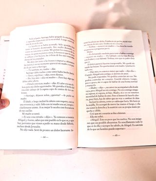 Camino a Cana/ Road to Cana: El Mesias/ Christ the Lord (Spanish Edition)