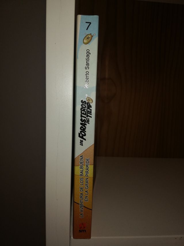 Libro Los Forasteros del tiempo 7