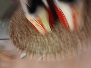 Zapatos bici talla 40