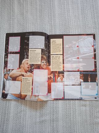 Album de cromos WWF