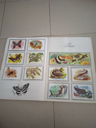 Album de cromos naturaleza y color