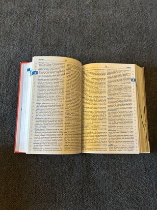 Lote diccionarios Castellano y Valenciano