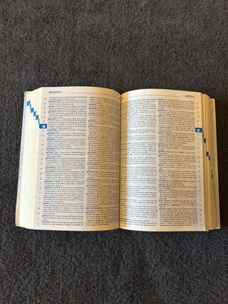 Lote diccionarios Castellano y Valenciano