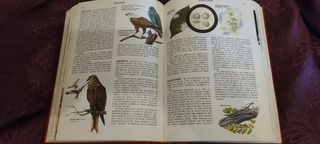 Enciclopedia de ciencias naturales volumen 3