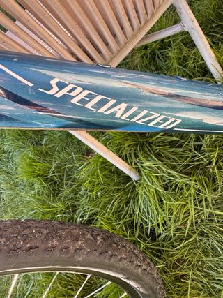 Bicicleta de montaña Specialiced