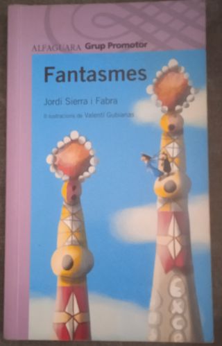 Lote libros en valenciano/catalán