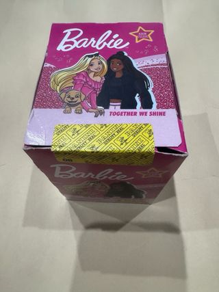 Box Panini Barbie Togheter We Shine 36 bustine