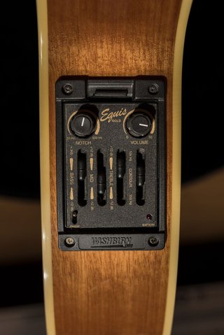 Washburn EA26 Craig Chaquico (1996)