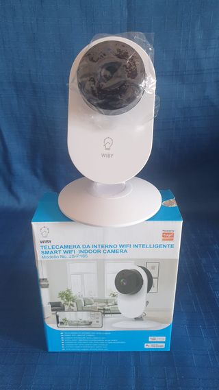 Telecamera intelligente WIBY JS-PI165