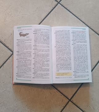 Il mio primo Dizionario Illu DeAgostini 