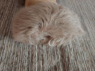 Manguito para el frío 30x13