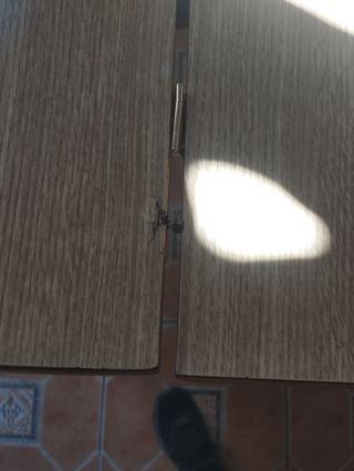 Mesa madera plegable con cajón.