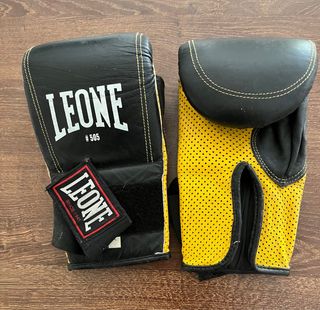 Guantoni da boxe Leone