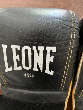 Guantoni da boxe Leone