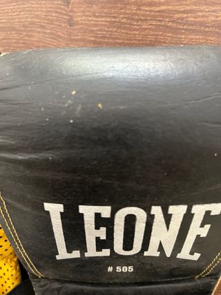 Guantoni da boxe Leone