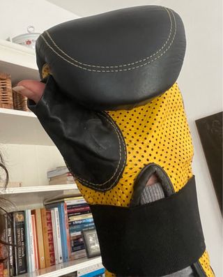 Guantoni da boxe Leone