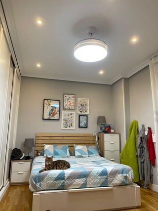 Electricista Económico