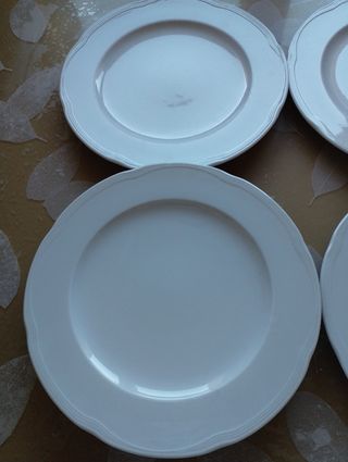 5 platos Irabia. 30 CMS