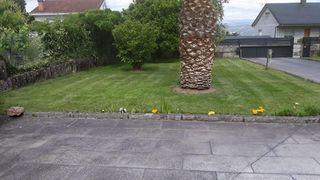 JARDINERO A DOMICILIO