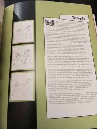 Libro Manga step by step