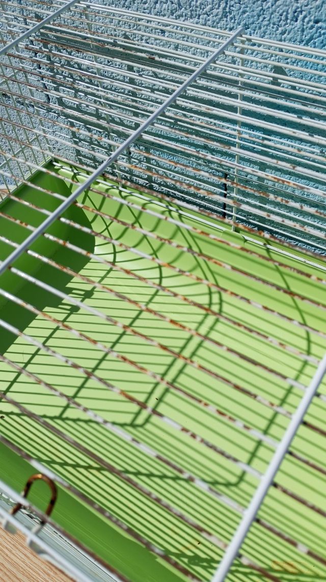 Jaula de hamster+ accesorios