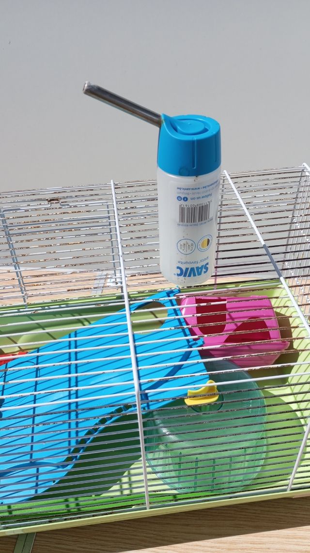 Jaula de hamster+ accesorios