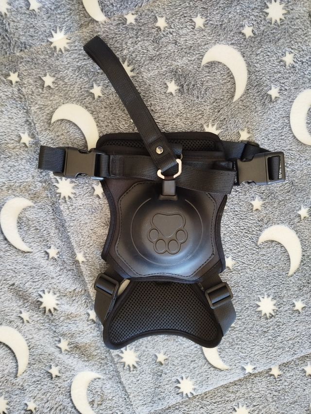 CORREA AJUSTABLE PARA PERROS