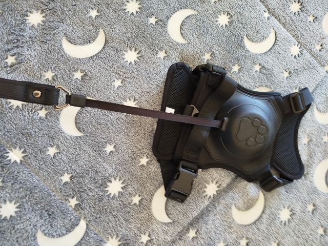 CORREA AJUSTABLE PARA PERROS