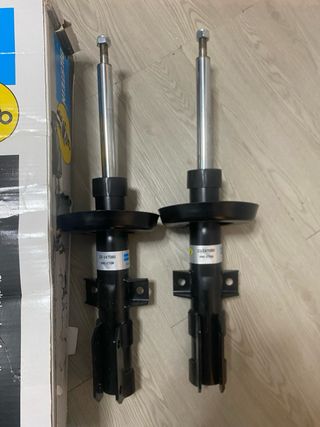 Suspension Blistein 