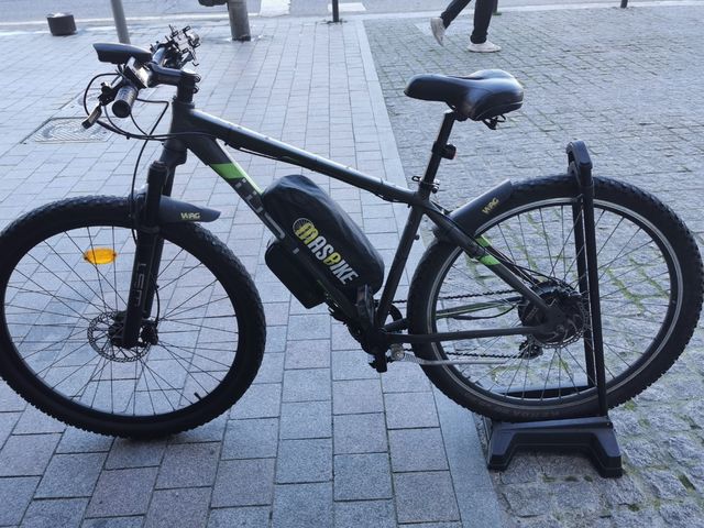 Biciclera Electrica WST 29 Con Bacteria 20ah