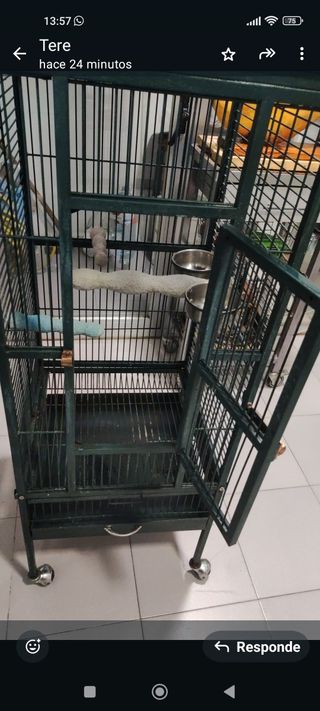 Jaula loro