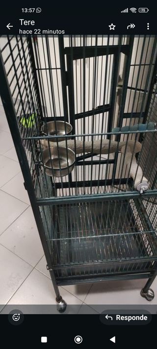 Jaula loro
