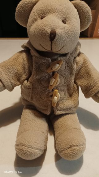 Ursinho de peluche MT fofo 🩷