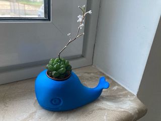 Balena vasetto decorativo Stampa 3D