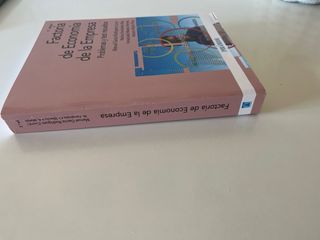 Factoría de Economía de la Empresa: Problemas y te