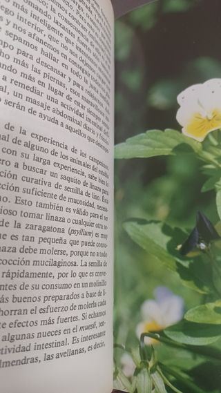 EL PEQUEÑO DOCTOR. A. VOGEL