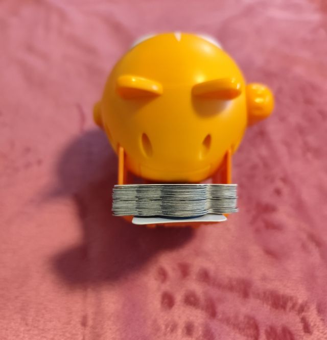 ANIMALISTA BALI LA GATITA