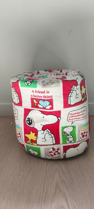 iglu para mascotas Snoopy