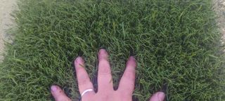 VENDEMOS césped artificial reciclado ♻️