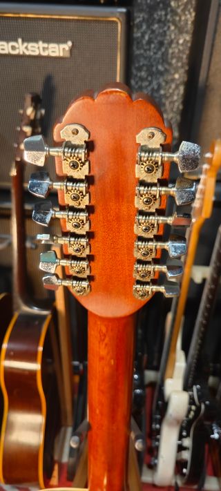 Applause 12 cuerdas acústica