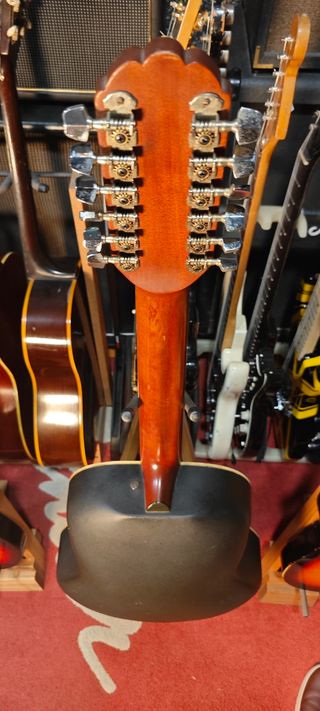 Applause 12 cuerdas acústica