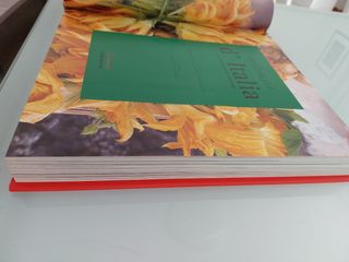 Specialita d' Italia Le Regioni in cucina